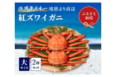 【蟹セレブ】ズワイガニ（紅ズワイガニ）大2杯セット（500～600g×2） 冷蔵 カニ ボイル 紅ズワイガニ 新鮮 ズワイガニ ずわいがに 期間限定 国産 鳥取県 倉吉市
