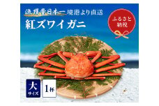 【蟹セレブ】ズワイガニ（紅ズワイガニ）大1杯（500～600g×1） 冷蔵 カニ ボイル 紅ズワイガニ 新鮮 ズワイガニ ずわいがに 期間限定 国産 鳥取県 倉吉市
