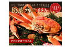 【蟹セレブ】タグ付き活〆ボイル・松葉がに（大・800ｇ前後） 冷蔵 カニ ボイル 松葉ガニ 松葉がに 新鮮 ズワイガニ ずわいがに 期間限定 国産 鳥取県 倉吉市
