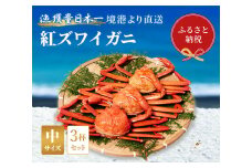 【蟹セレブ】ズワイガニ（紅ズワイガニ）中3杯セット（400～500g×3） 冷蔵 カニ ボイル 紅ズワイガニ 新鮮 ズワイガニ ずわいがに 期間限定 国産 鳥取県 倉吉市