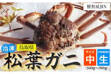 【鮮魚屋JIN】訳あり 冷凍 生松葉ガニ（中サイズ 500g~700g）下処理済み ハーフポーション 真空冷凍 カニ かに 冷凍松葉ガニ 松葉がに 松葉ガニ ズワイガニ ずわいがに 冷凍ガニ 冷凍かに 足欠け 足1本なし