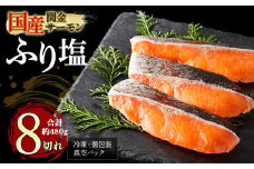 【1切れずつ真空冷凍】 関金サーモン ふり塩切り身 480g（60g×8切れ） マス トラウトサーモン 鮭 さけ シャケ 国産鮭 ふり塩鮭 鮭切身 サーモン 国産サーモン サーモン切身 養殖サーモン 真空冷凍 小分け