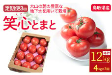 【定期便 3回】期間限定 鳥取県産笑心とまと（約4kg×3回） トマト 新鮮トマト 鳥取トマト 笑心とまと 野菜 リコピン サラダ 野菜 新鮮 鮮度 抜群 トマト定期便