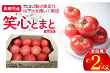 鳥取県産笑心とまと 2kg （家庭用・簡易包装） トマト 新鮮トマト 鳥取トマト 笑心とまと 野菜 リコピン サラダ 野菜 新鮮 鮮度 抜群 トマト