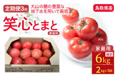 【定期便 3回】期間限定 家庭用 笑心とまと （約2kg×3回） トマト 新鮮トマト 鳥取トマト 笑心とまと 野菜 リコピン サラダ 野菜 新鮮 鮮度 抜群 トマト定期便