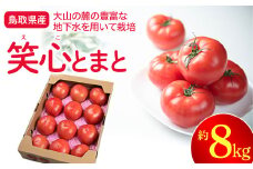 鳥取県産笑心とまと 8kg（約4kg×2箱）トマト 新鮮トマト 鳥取トマト 笑心とまと 野菜 リコピン サラダ 野菜 新鮮 鮮度 抜群 トマト