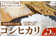 倉吉市産 コシヒカリ 5kg 【大江農場】 令和6年産米 精米 お米 米 こめ コメ 白米 こしひかり コシヒカリ ブランド米