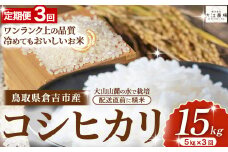 期間限定 倉吉市産 コシヒカリ 定期便 5kg×3回 【大江農場】 令和6年産米 精米 お米 米 こめ コメ 白米 こしひかり コシヒカリ ブランド米 定期便