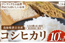 倉吉市産 コシヒカリ 10kg（5kg×2袋）【大江農場】 令和6年産米 精米 お米 米 こめ コメ 白米 こしひかり コシヒカリ ブランド米