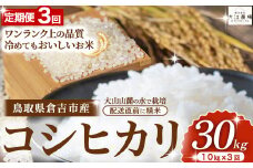 期間限定 倉吉市産 コシヒカリ 定期便 10kg×3回 【大江農場】 令和6年産米 精米 お米 米 こめ コメ 白米 こしひかり コシヒカリ ブランド米 定期便