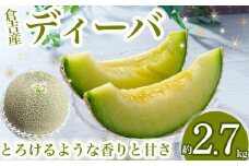ディーバメロン【倉吉産】 約2.7kg （10月発送） 鳥取 果物 フルーツ メロン ディーバメロン 数量限定 期間限定 鳥取県 倉吉市