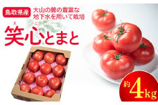 【先行予約】鳥取県産笑心とまと（4kg）トマト 新鮮トマト 鳥取トマト 笑心とまと 野菜 リコピン サラダ 野菜 新鮮 鮮度 抜群 トマト