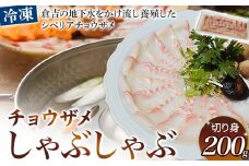珍しいチョウザメのしゃぶしゃぶ！ 倉吉蝶鮫 切り身200g ／ 国産 ちょうざめ チョウザメ しゃぶしゃぶ 倉吉市
