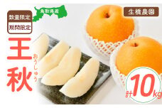 王秋 10kg（生橋農園） 鳥取県産 梨 鳥取 果物 フルーツ 王秋 和梨 先行予約 数量限定 詰め合わせ 今が旬 甘い 人気