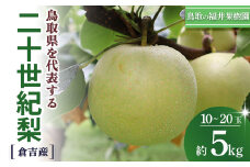 二十世紀梨 5kg（10～20玉） 倉吉産 福井果樹園 二十世紀梨 20世紀梨 梨 なし ナシ ブランド梨 果物 フルーツ 和梨 数量限定