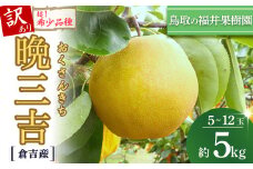 【希少梨】訳あり 晩三吉 5kg（5～12玉） 倉吉産 福井果樹園 おくさんきち 梨 なし ナシ ブランド梨 冬梨 希少品種 果物 フルーツ 和梨 数量限定