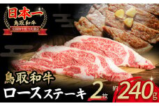  鳥取和牛 ロースステーキ 2枚 (240g) 国産 ブランド牛 牛肉 ステーキ 希少 和牛 黒毛和牛 肉 ロース 冷凍 鳥取県 倉吉市 KR136