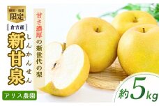 新甘泉 【倉吉産】5kg（アリス農園） 鳥取 梨 果物 フルーツ 和梨 先行予約 数量限定 詰め合わせ 新甘泉 しんかんせん