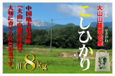 【令和７年産米】 【数量限定】大山山麓関金産 コシヒカリ 8kg (5kg×1袋、3kg×1袋) 令和7年産 新米 お米 米 こめ コメ 白米 ブランド おいしい 健康 産地直送 コシヒカリ