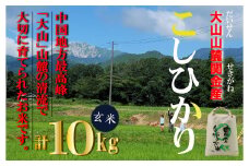 【令和７年産米】 【数量限定】 大山山麓関金産 玄米 コシヒカリ 10kg (5kg×2袋) 令和7年産米 新米 お米 米 こめ コメ 玄米 こしひかり コシヒカリ ご飯 ごはん
