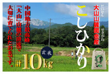 【令和７年産米】 【数量限定】 大山山麓関金産 玄米 コシヒカリ 10kg (5kg×2袋) 令和7年産米 新米 お米 米 こめ コメ 玄米 こしひかり コシヒカリ ご飯 ごはん