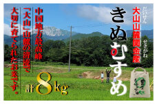 【令和７年産米】 【数量限定】大山山麓関金産 きぬむすめ 8kg (5kg×1袋、3kg×1袋) 令和7年産 新米 お米 米 こめ コメ 白米 ブランド おいしい 健康 産地直送 きぬむすめ