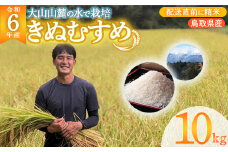【数量限定】 令和6年産 きぬむすめ 10kg 令和6年産米 精米 お米 米 こめ コメ 白米 ごはん ご飯 ゴハン ブランド米 鳥取県 倉吉市