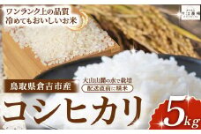 ※2月配送分【令和7産米】倉吉市産 コシヒカリ 5kg （ 大江農場 数量限定 令和7年産米 精米 お米 米 こめ コメ 白米 こしひかり コシヒカリ ブランド米 ）
