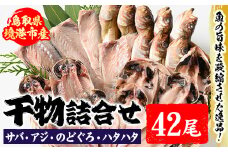 【3月11日受付終了】前浜干物セットC(計42尾) 【sm-AH002】【大海】