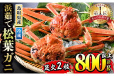 ＜月～木着※指定日不可＞＜11月中旬～2月末発送予定＞浜茹松葉ガニ足欠(2枚/計約800g以上)【sm-BE001-C】【川口商店】