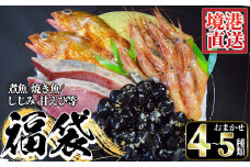 ＜先行予約受付中！数量限定！12月順次配送予定＞ちょっと早めの魚介福袋(4～5種類)【sm-AA016】【いたくら】
