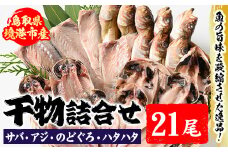【3月11日受付終了】前浜干物セットA(計21尾) 【sm-AH001】【大海】
