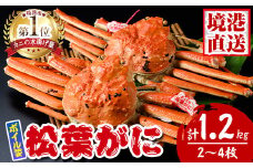 松葉がに ボイル姿(2～4枚・計1.2kg)【sm-AK006】【大漁市場なかうら】