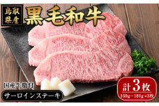 鳥取黒毛和牛サーロインステーキ(計3枚)【sm-AP002】【いろは精肉本店】