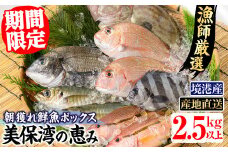 ＜平日着＞＜期間限定＞＜4月上旬～10月末頃発送予定＞朝獲れ鮮魚ボックス「美保湾の恵み」(計2.5kg以上)【sm-BE004-A】【川口商店】
