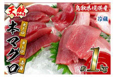 ＜6月中旬～下旬順次発送＞鳥取県境港産 本マグロ(合計1kg前後)【sm-BN002】【三光水産】