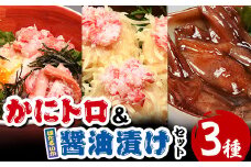 かにトロ丼(2食)・かにトロしゅうまい(8個)・ほたるいか醤油漬け(200g)【sm-AK001】【大漁市場なかうら】