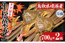 ＜11月中旬～3月中旬発送予定＞＜平日着※指定日不可＞鳥取県境港産 タグ付き生松葉がに(700g×2枚)【sm-BN005-A】【三光水産】