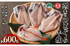 日本海西部産 開きのどぐろ干物A(約600g・4～5尾)【T-AN1】【大山ブランド会】