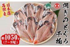 日本海西部産 開きのどぐろ干物B(1050g・7～9尾)【T-AN3】【大山ブランド会】