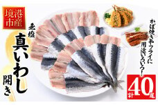 境港産 無塩いわしひらき(計40尾)【sm-CD002】【羽根】