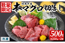 ＜数量限定＞境港産本マグロ切落し(500g)【sm-AO006】【大幸】