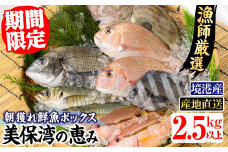 ＜土日祝着＞＜期間限定＞＜4月上旬～10月末頃発送予定＞朝獲れ鮮魚ボックス「美保湾の恵み」(計2.5kg以上)【sm-BE004-B】【川口商店】