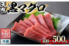 ＜土日祝着＞＜6月上旬～7月上旬発送予定！数量限定＞サクでお届け！近海天然黒マグロ(約400～500g)【sm-AA013-B】【いたくら】