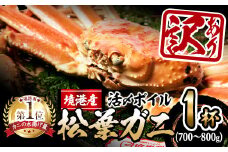 ＜11月中旬～順次発送予定＞＜訳あり・土日祝着※指定日不可＞活〆ボイル松葉蟹(700～800g・土日祝着※指定日不可)【sm-AL014-B】【マルツ】