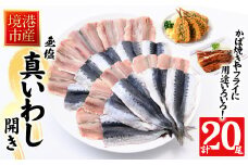 境港産 無塩いわしひらき(計20尾)【sm-CD009】【羽根】