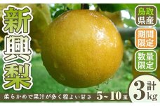 ＜10月上旬～12月下旬発送予定＞＜数量限定＞こばやし農園新興梨(計3kg・5～10玉)【sm-CK007】【こばやし農園】
