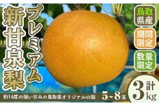 ＜8月下旬～11月上旬発送予定＞＜数量限定＞こばやし農園プレミアム新甘泉梨(計3kg・5～8玉)【sm-CK006】【こばやし農園】