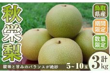 ＜8月上旬～10月上旬発送予定＞＜数量限定＞こばやし農園秋栄梨(計3kg・5～10玉)【sm-CK004】【こばやし農園】