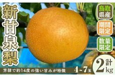 ＜8月下旬～10月下旬発送予定＞＜数量限定＞こばやし農園新甘泉梨(計2kg・4～7玉)【sm-CK005】【こばやし農園】
